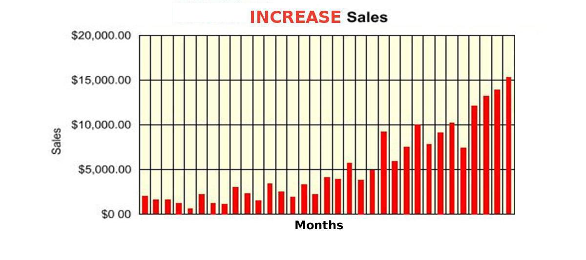 Increase sales online with web site promotion and marketing